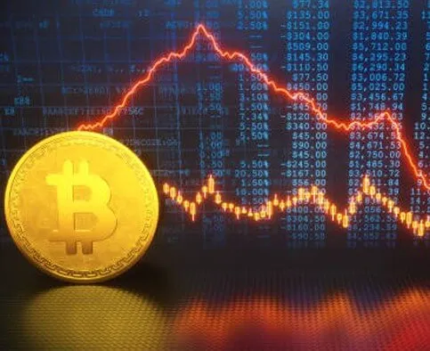 Roxun Ledger - Elevate Your Trading Skills with Roxun Ledger
